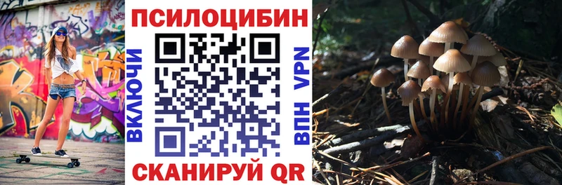 Галлюциногенные грибы Psilocybine cubensis  где можно купить наркотик  гидра tor  Чадан 